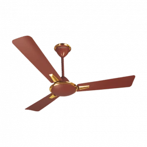 CROMPTON AURA CEILING FAN  1200MM — VK Furniture & Electronics | VK Furniture Mangalore