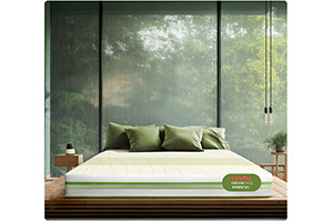 Duroflex Prana Pocket Spring  Latex Mattress 72 X 36