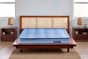 Duroflex Back Magic Orthopedic Coir Mattress 75 X 72